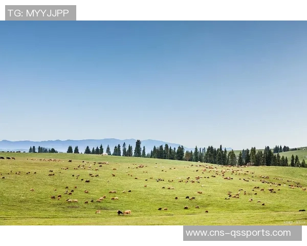 沙特阿拉伯足球崛起之路:从传统到现代化的全新挑战与机遇